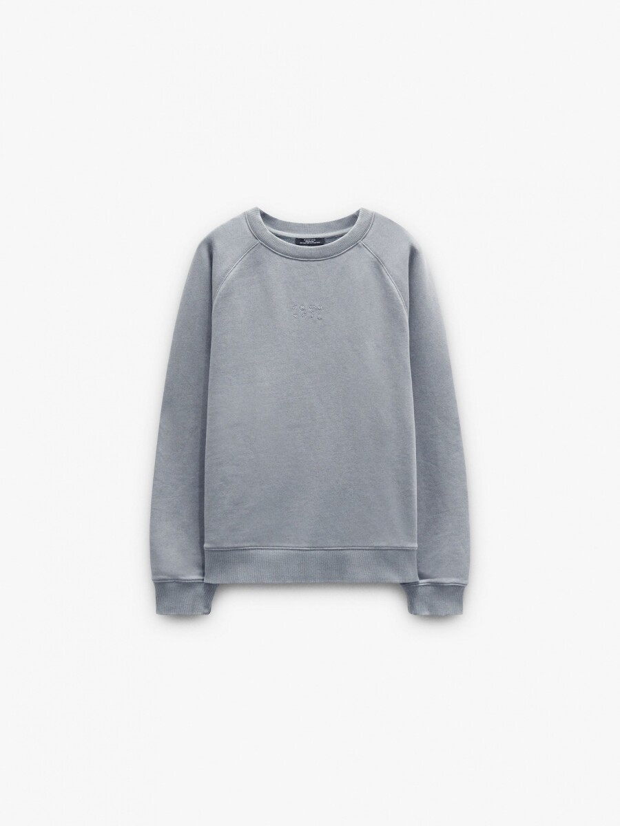 Sudadera De Algodón Con Bordado gris
