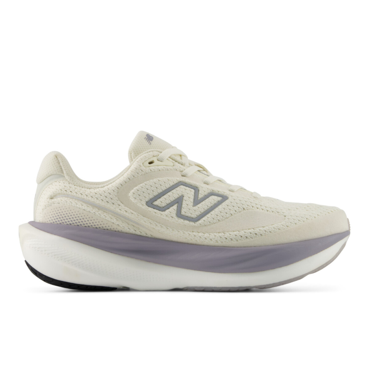 Zapatillas Running 1080 V15 Mujer 