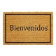 Felpudo de coco 40x60 cm BIENVENIDO