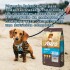 ASTRO CACHORRO PREMIUM ESPECIAL 14 KG + GUANTE QUITA PELOS DE REGALO ASTRO CACHORRO PREMIUM ESPECIAL 14 KG + GUANTE QUITA PELOS DE REGALO