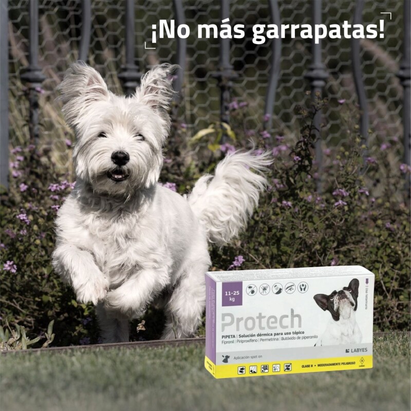PROTECH PIPETA ANTIPULGAS Y GARRAPATAS CON ACCIÓN AMBIENTAL PARA PERROS DE 11 A 25 KG