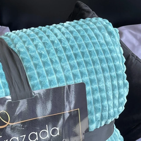 Frazada Fleece Extra Soft Lisa Reversible C/Corderito 100% Poliéster 200cm x 230cm Frazada Fleece Extra Soft Lisa Reversible C/Corderito 100% Poliéster 200cm x 230cm