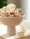 Bol CHRIS Ø21xA16cm beige/terracota Bol CHRIS Ø21xA16cm beige/terracota