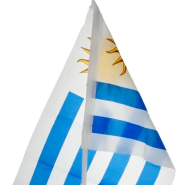 Bandera Banderin Uruguay Auto 30cm X 45cm Oficial Calidad Bandera Banderin Uruguay Auto 30cm X 45cm Oficial Calidad