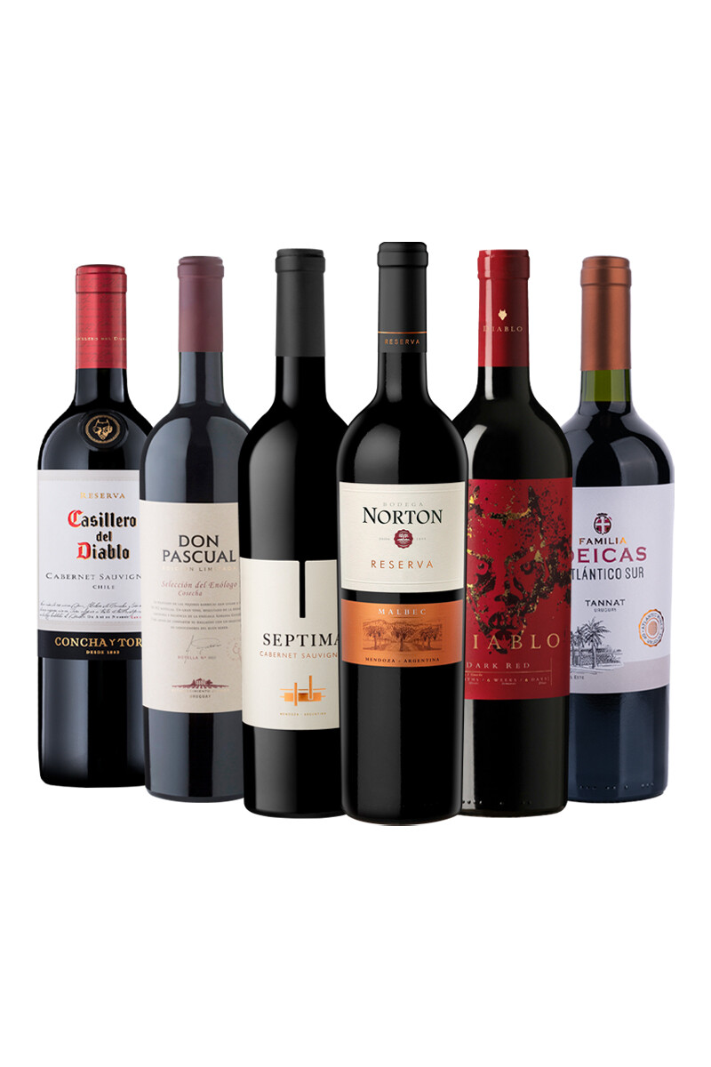 Pack Bacán Selección San Valentin x6 vinos Tintos Cómplices 