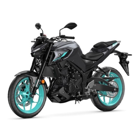 Yamaha MT03 Gris