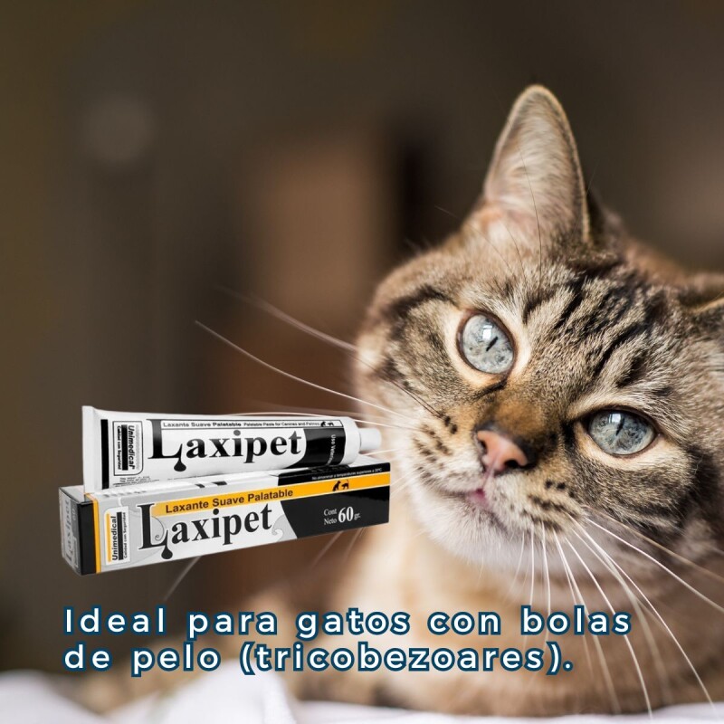 LAXIPET LAXANTE SUAVE PALATABLE PARA PERROS Y GATOS 60 G. LAXIPET LAXANTE SUAVE PALATABLE PARA PERROS Y GATOS 60 G.