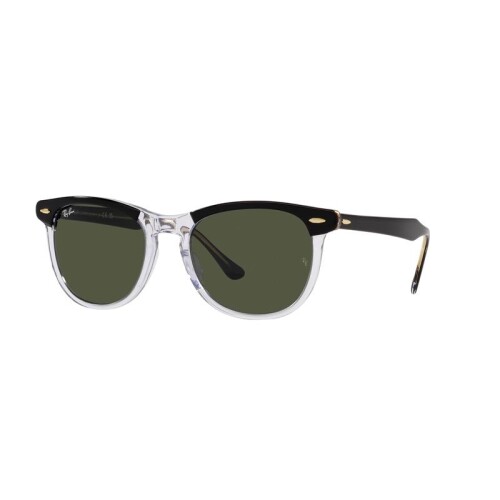 Ray Ban Rb2398 Eagleeye 1294/31