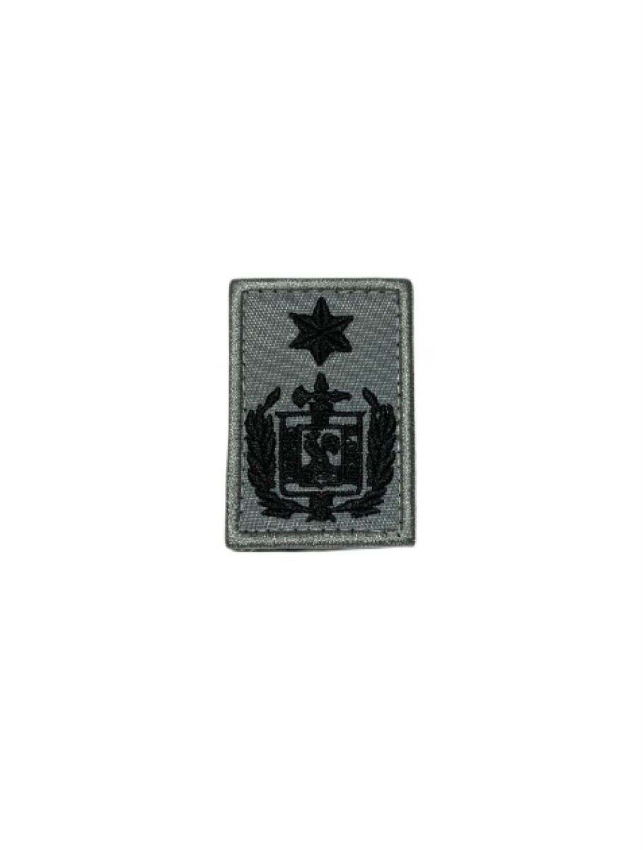 Grado de pecho y chaleco Guardia Republicana - Comandante Mayor 