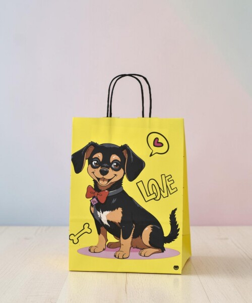 Bolsa 22x10x30 cm. WAU