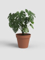 MACETA CAPRI POT 25 TERRACOTA