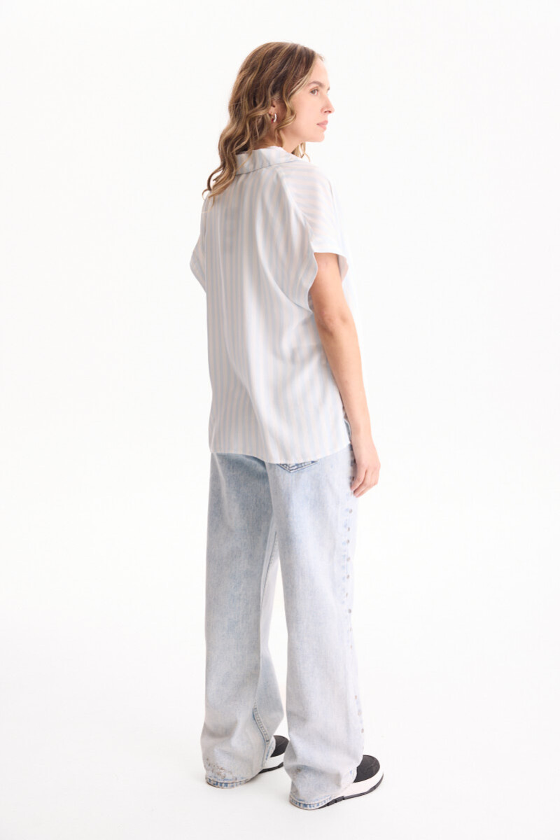 Camisa Hampton Celeste