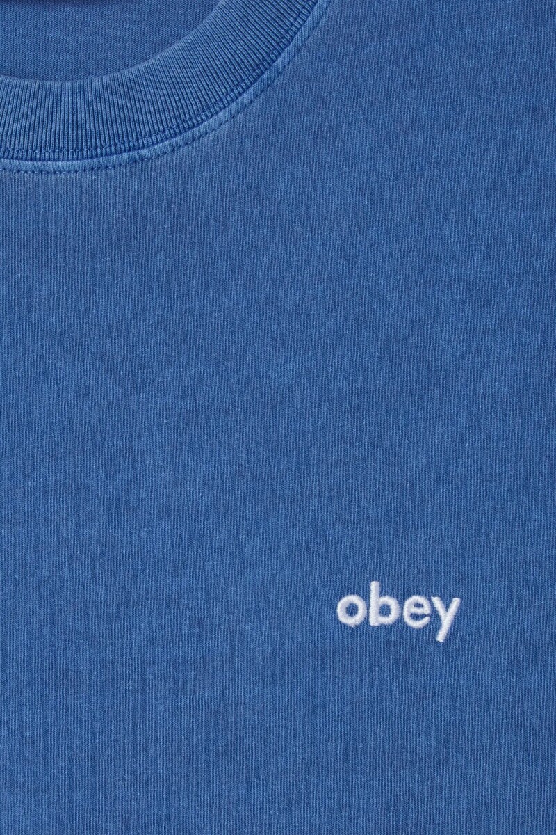 LOWERCASE PIGMENT TEE SS Azul