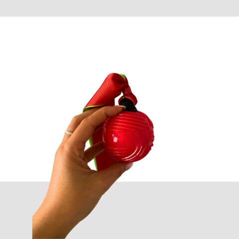 Juguete Pelota con Cinta y Chifle 30,2 cm Juguete Pelota con Cinta y Chifle 30,2 cm