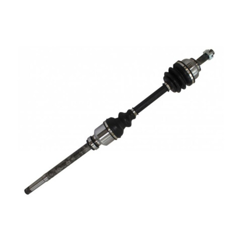 SEMIEJE COMPLETO DERECHO Semieje Completo Derecho