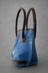 Medium All Season Bag Azul Bolita / Chocolate