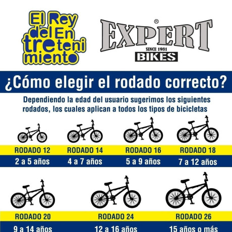 Bicicleta Niña Montaña Rod. 18 C/ Canasto Y Rueditas Bicicleta Niña Montaña Rod. 18 C/ Canasto Y Rueditas