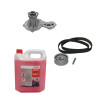 KIT DE DISTRIBUCION COMPLETO Kit De Distribucion Completo