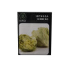 Semillas de lechuga iceberg KM100 Semillas Lechuga Iceberg