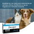 DOXIPET ATIBIÓTICO PARA PERROS Y GATOS CAJA 20 COMPRIMIDOS DOXIPET ATIBIÓTICO PARA PERROS Y GATOS CAJA 20 COMPRIMIDOS