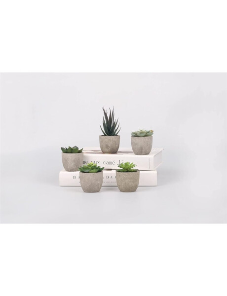 SUCULENTA DECORATIVA D12CM SURTIDO SUCULENTA DECORATIVA D12CM SURTIDO