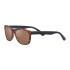 Serengeti Anteo 8668 polarized Serengeti Anteo 8668 Polarized