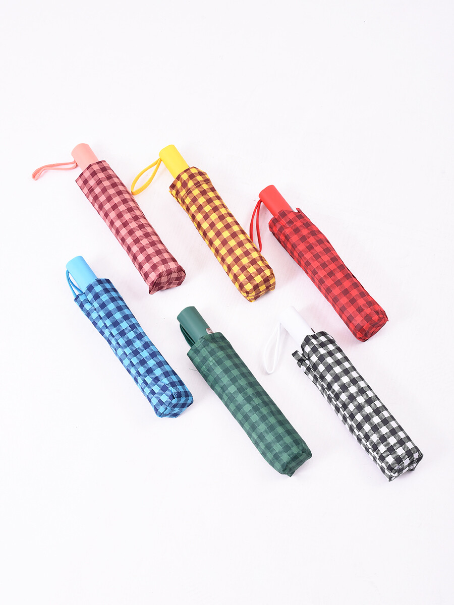 PARAGUA CORTO - VARIANTE 3 