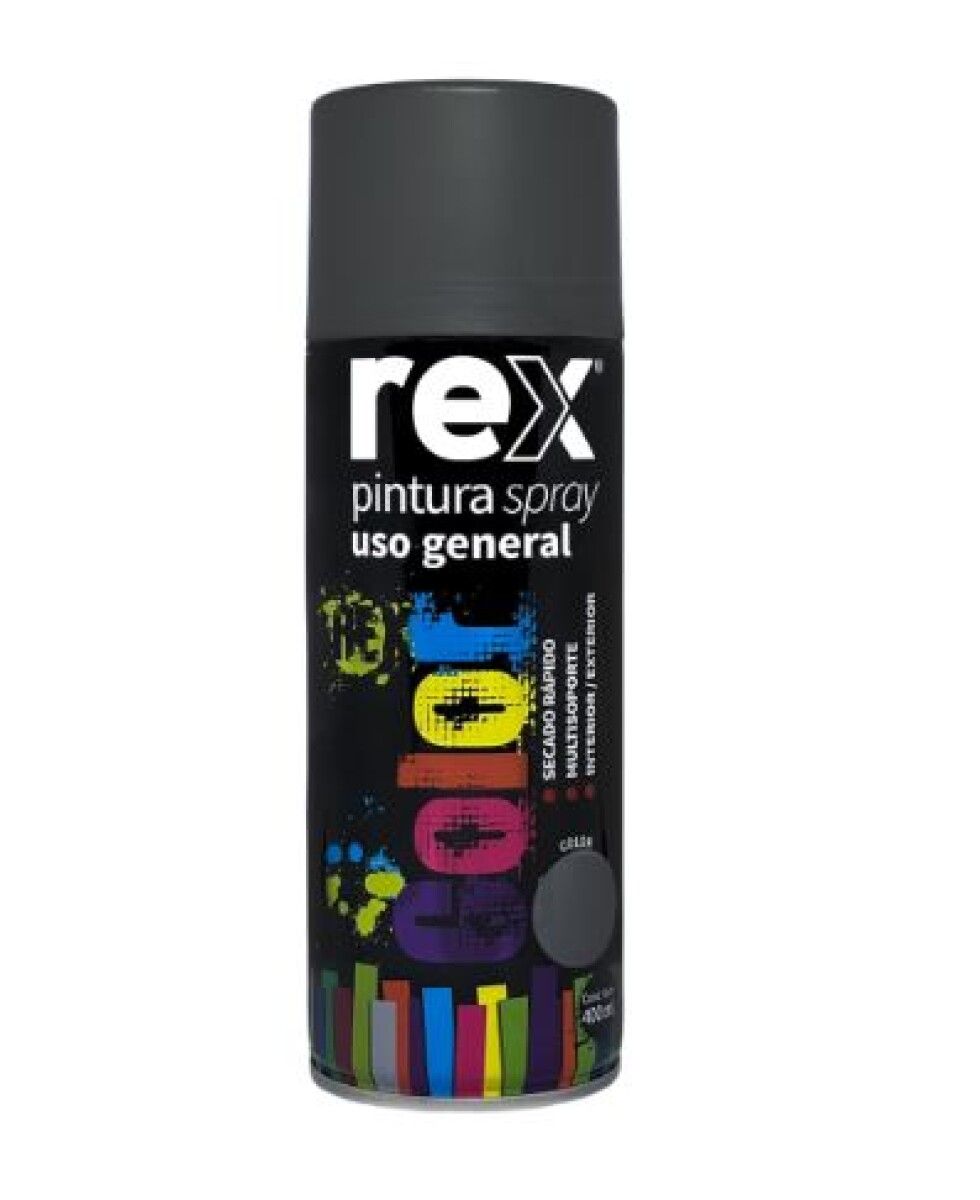 Pintura en Aerosol Spray Uso general - Secado Rápido - Grafito 