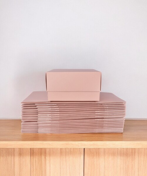 PACK X 20 - Caja eco 6 16X15X9 NUDE