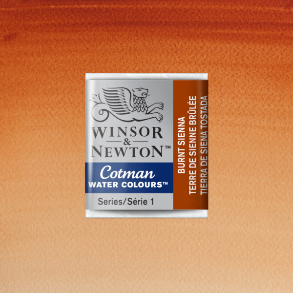 Acuarela Cotman - Winsor & Newton Tonos Tierra