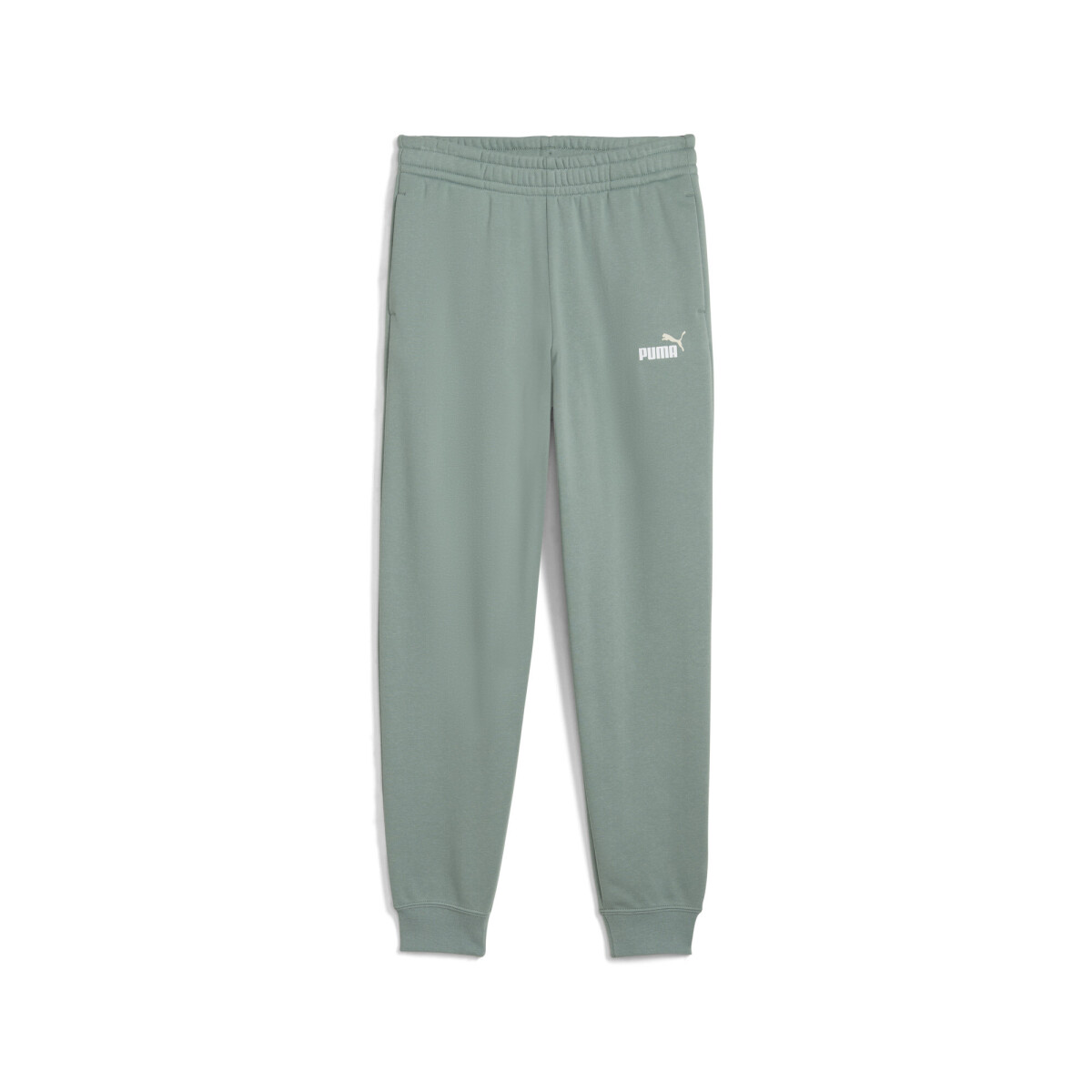 ESS 2 COLOR Nş1 Logo Sweatpants FL B 68582430 - Verde 