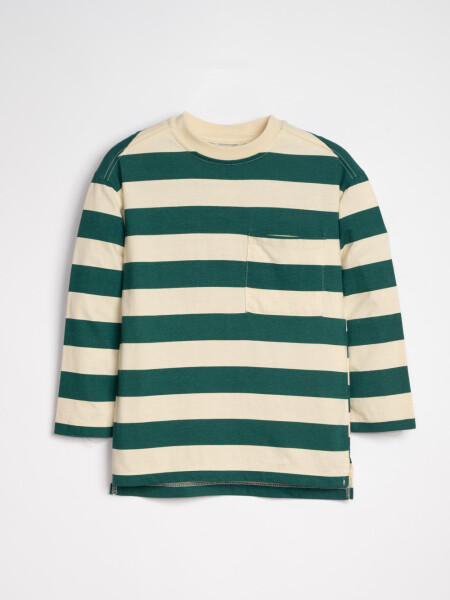 Remera Manga larga Rayado Verde Y Beige