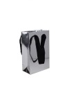 Bolsa cartulina laminada 10x05x15 cm PLATA
