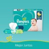 Pañales Pampers Confort Sec P X72 Pañales Pampers Confort Sec P X72