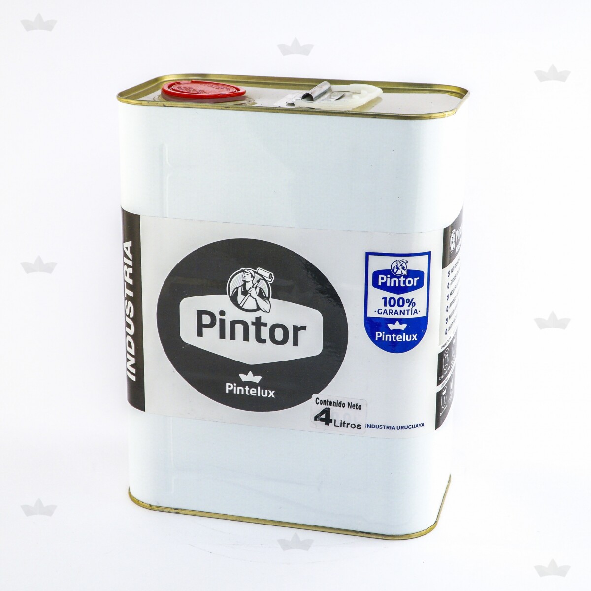 PINTOR DILUYENTE ESPECIAL - 4LT - N/A 