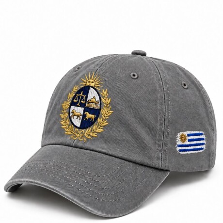 Gorra Visera Gris