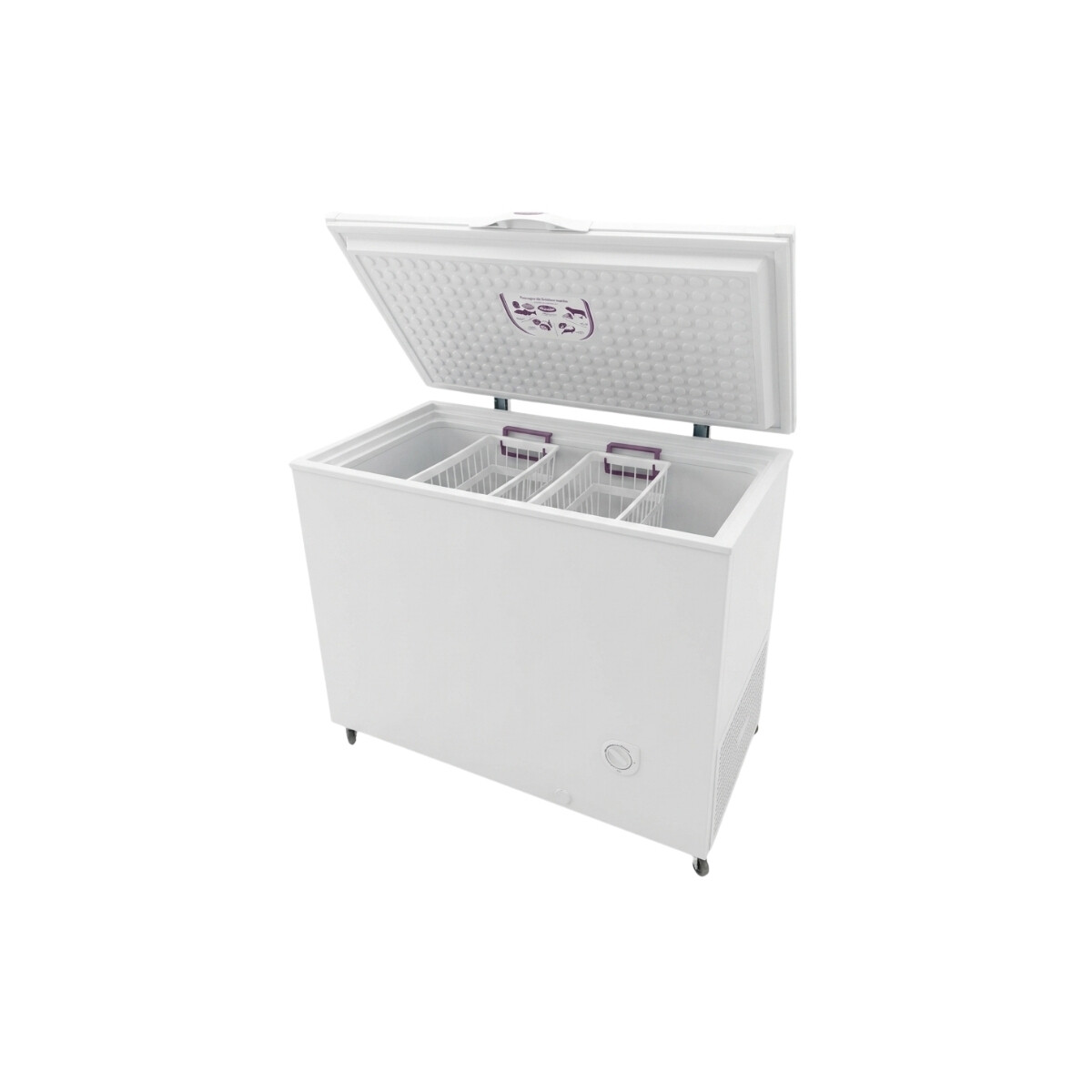 Freezer Horizontal 1 Puerta 350 Litros 