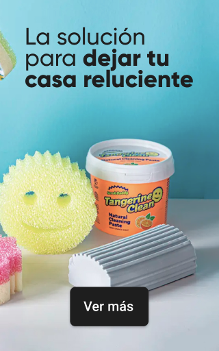 HomeGrupo2 - Scrub Daddy