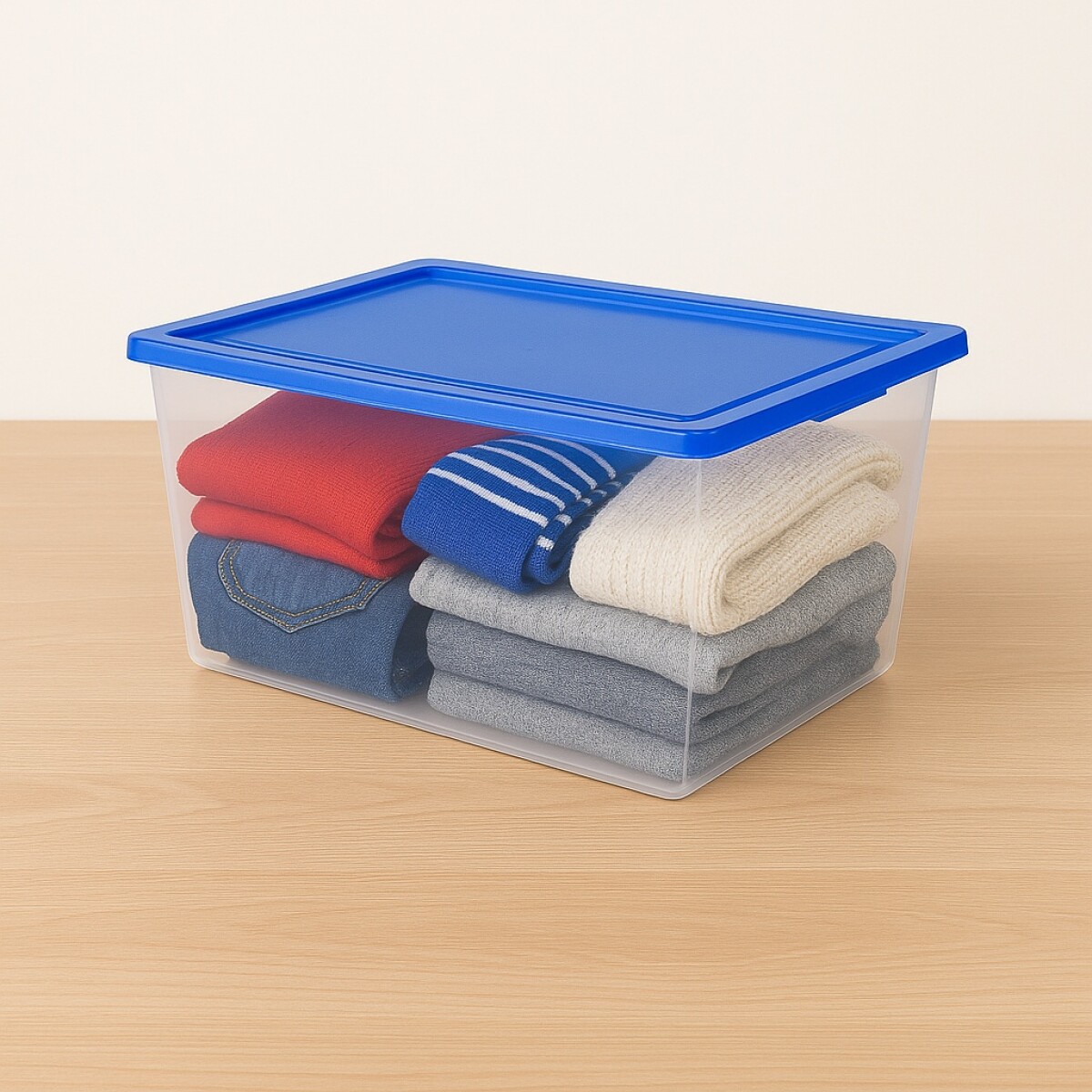 CAJA ORGANIZADORA MYBOX WENCO 15LTS 