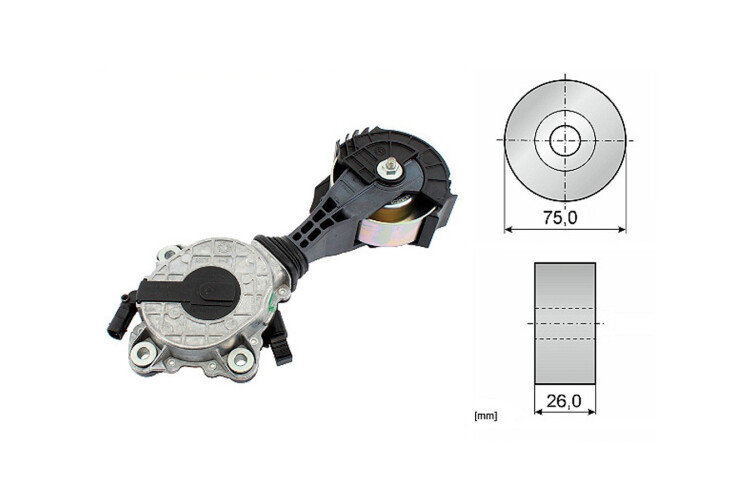 Tensor De La Bomba Agua BMW 316I (F30)/120I (F20)/118I (F21)/114I (F21)/116I (F20)/118I (F20)/320I (F30) Citroen C3 Picasso/C3 Tensor De La Bomba Agua BMW 316I (F30)/120I (F20)/118I (F21)/114I (F21)/116I (F20)/118I (F20)/320I (F30) Citroen C3 Picasso/C3