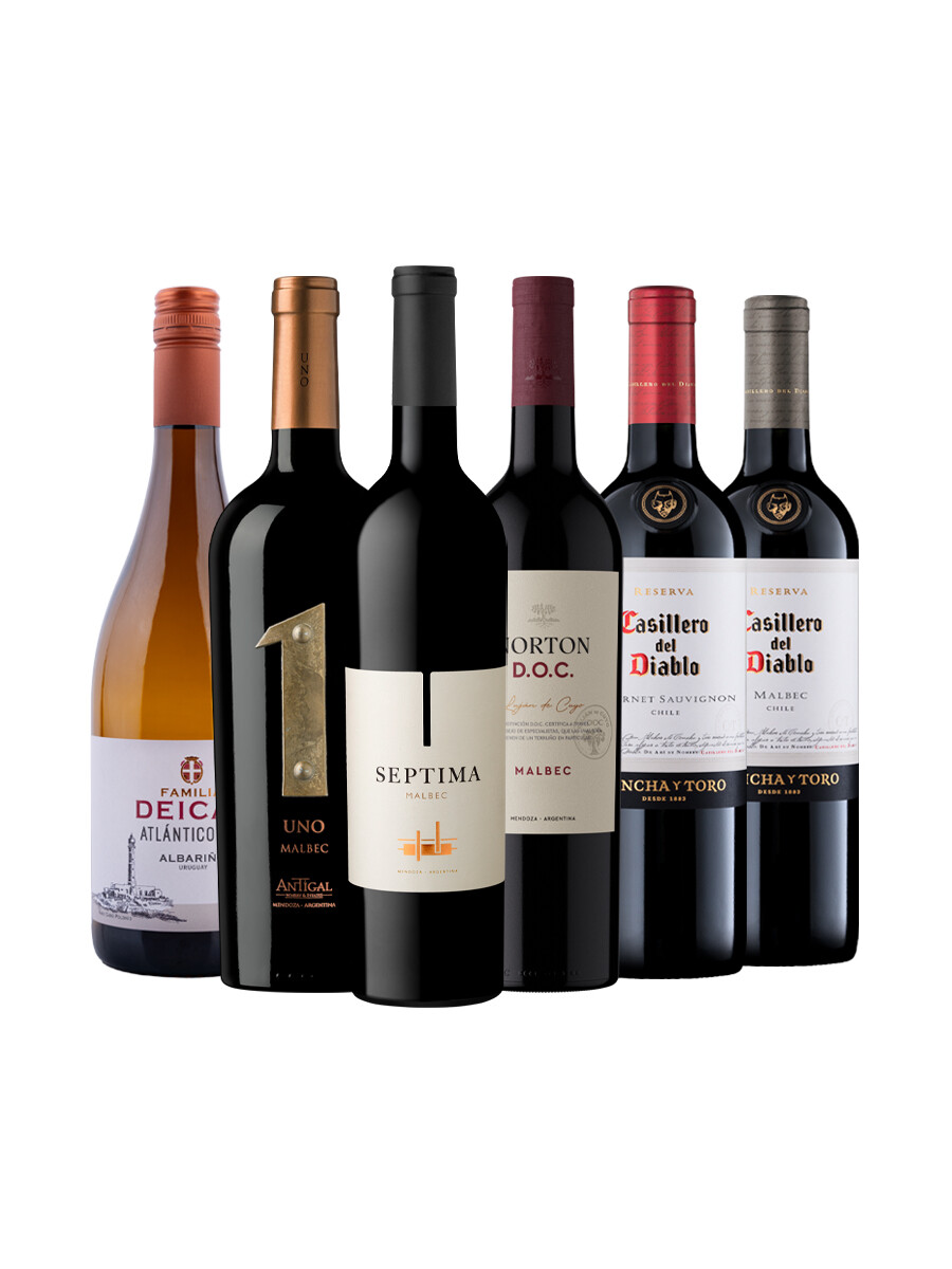 Pack Bacán Selección Bacanazo Fin de Año x6 vinos clasicos Pack Bacán Selección Bacanazo Fin de Año x6 vinos clasicos