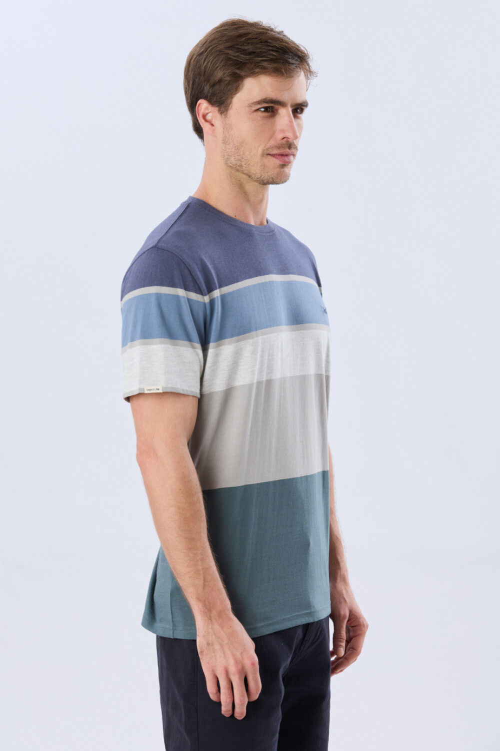 REMERA RAYADA DE ALGODÓN Azul