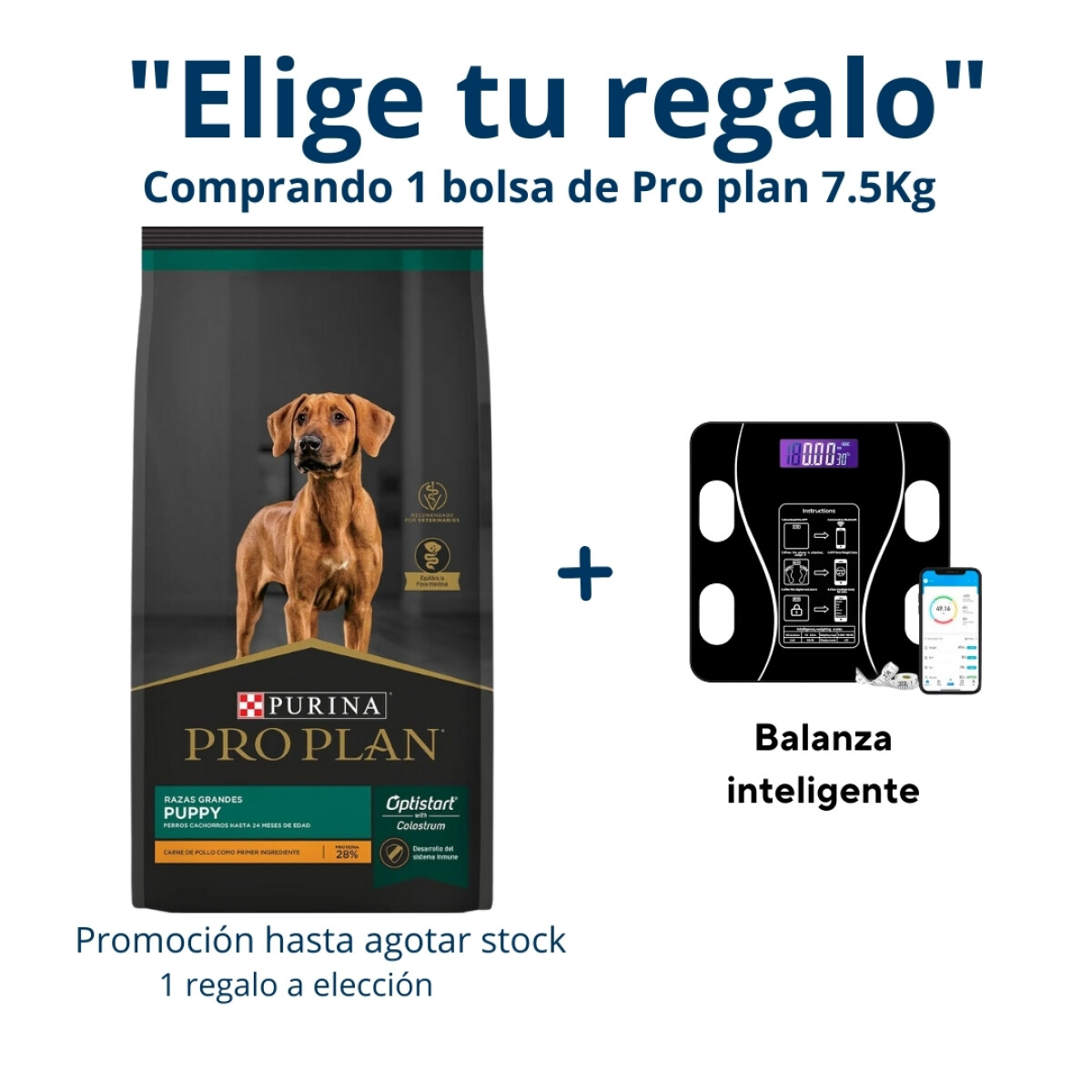 Pro Plan Cachorro Grande 15kg 