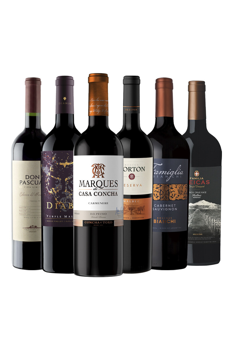 Pack Bacán Selección Bacanazo Fin de Año x6 vinos premium 