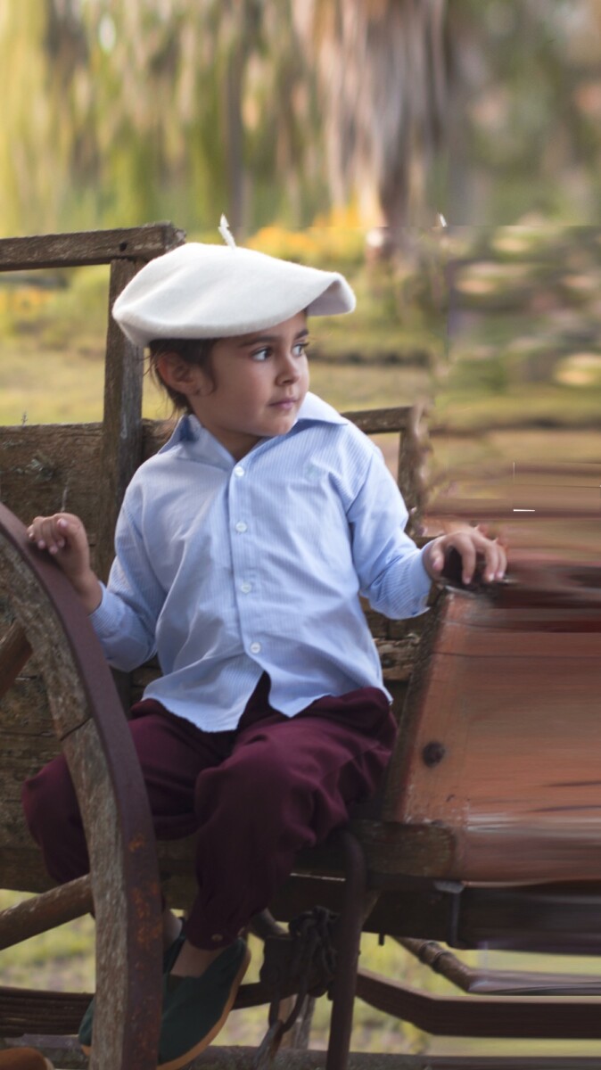 Camisa de Niño/a - Celestes 