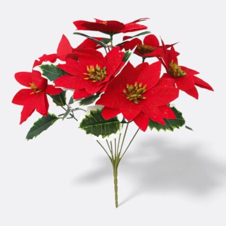 Ramo Flor Estrella Federal Roja Ramo Flor Estrella Federal Roja