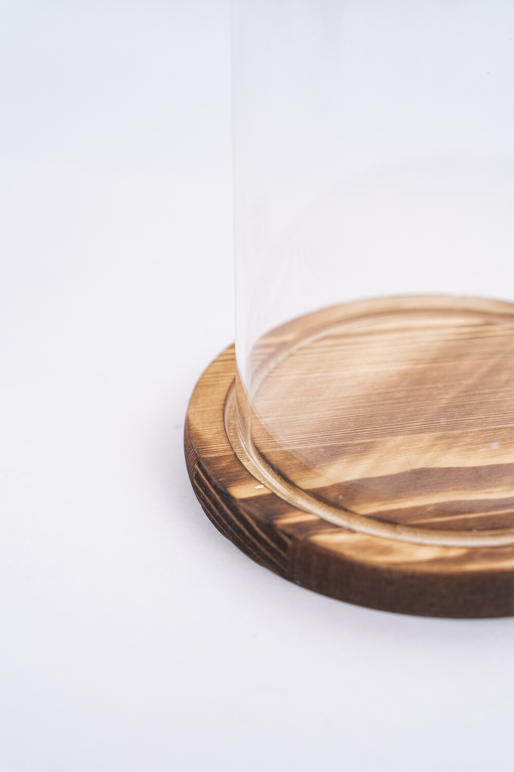 Terrario Ser Color Unico