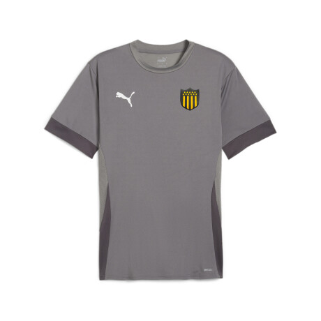 Peñarol Matchday Jersey 70574713 Gris