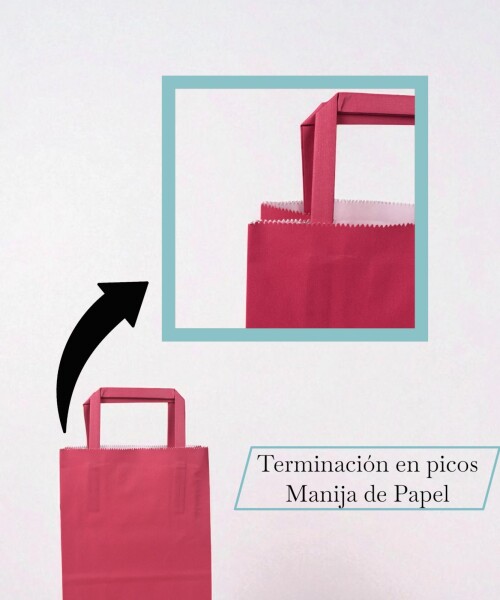 Bolsa lisa acuario 14x08x20 cm FUCSIA
