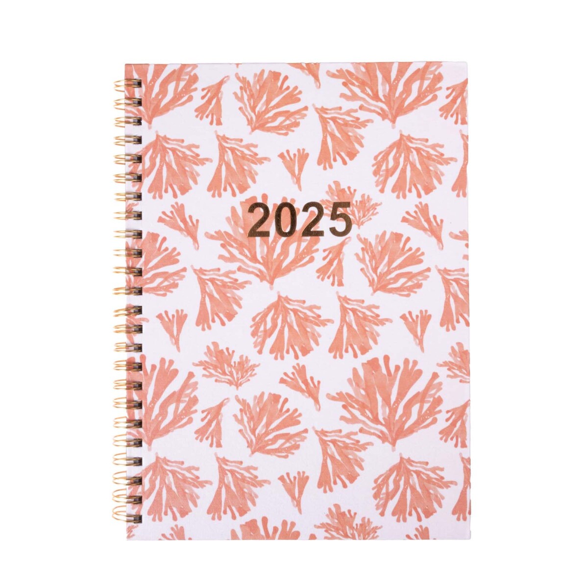 AGENDA - PAPEL-Y-ALGODON BLANCO 2025 